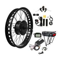 48V 350w 500w 750w 1000w  1500w 2000w 3000w  5000w fat ebike  electric bike conversion kit with hub motor